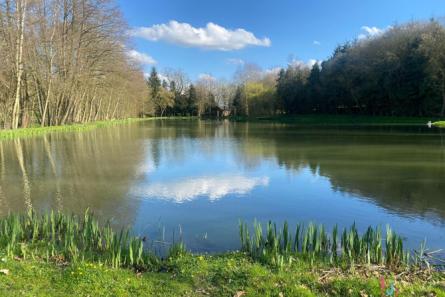 Terrain de loisirs de 3 hectares avec plan d'eau secteur Mayenne