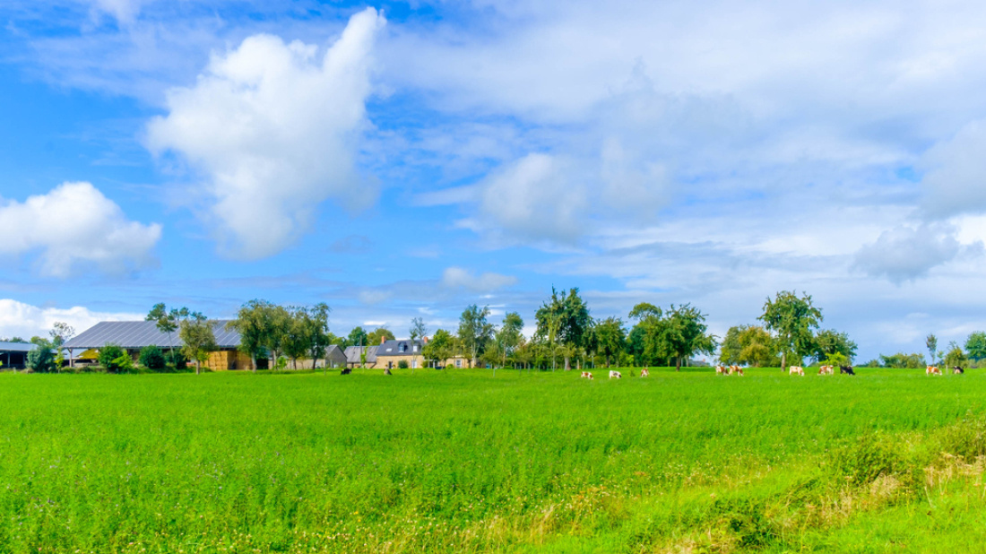 Exploitation agricole en Mayenne, par une journ&eacute;e d'&eacute;t&eacute;