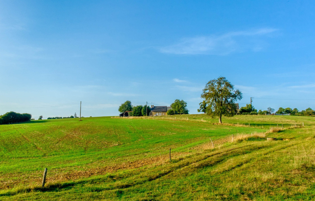 Un camp en Mayenne, bord&eacute; par quelques arbres