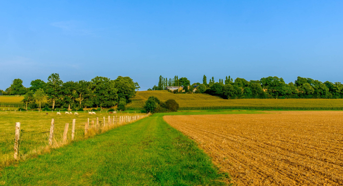 Un champ en Mayenne, délimité par une barrière