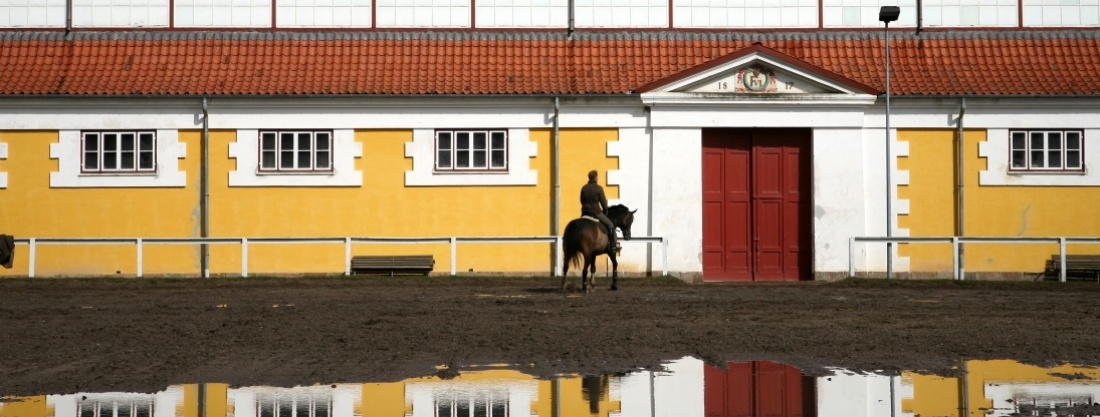 R&eacute;alisez un r&ecirc;ve en achetant votre centre &eacute;questre