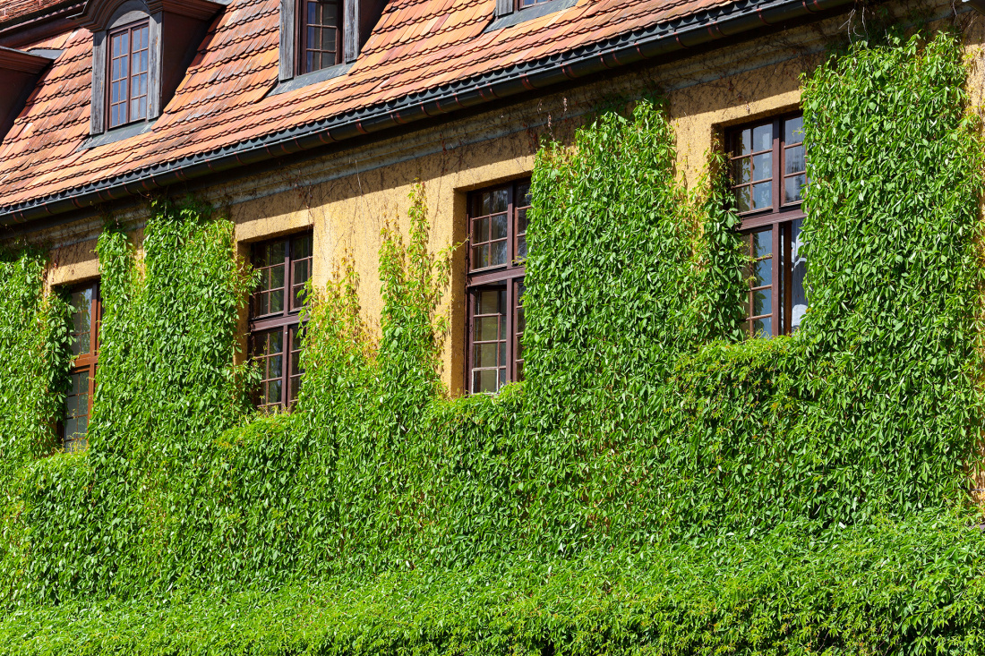 Les diff&eacute;rences entre les g&icirc;tes de caract&egrave;re