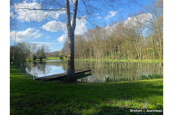 Pond on 3 hectares of land - Mayenne sector