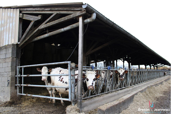 Exploitation BIO sur 65 ha tout attenant secteur Courcité