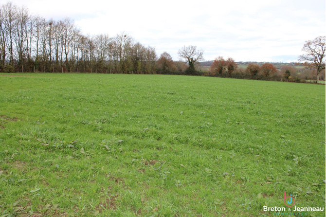 Exploitation BIO sur 65 ha tout attenant secteur Courcité