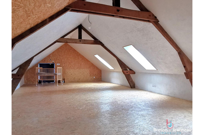 Maison sur 1 hectare secteur Bais