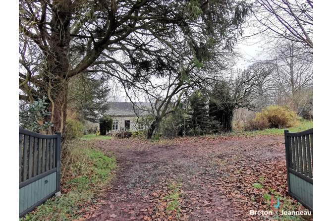 Maison sur 1 hectare secteur Bais