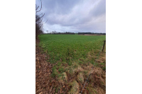 Terrain agricole de 3ha 84 loué à St Mars sur la Futaie