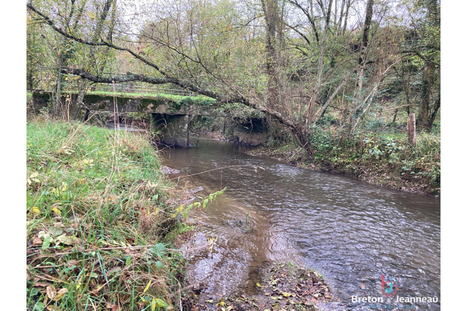 Ancien moulin sur 9200 m² à Javron les Chapelles