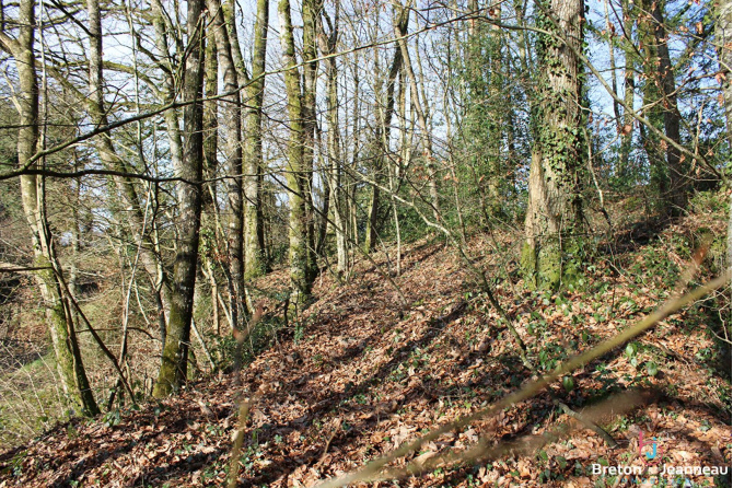Maison à rénover en campagne à 6,5 Km d'Ernée