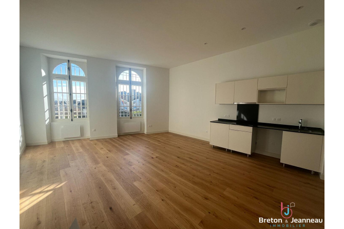Appartement T4 avec garage - Laval - Centre Ville Rive droite