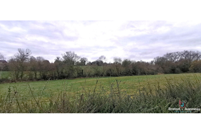 Maison de plain-pied sur près d'un hectare secteur Bais