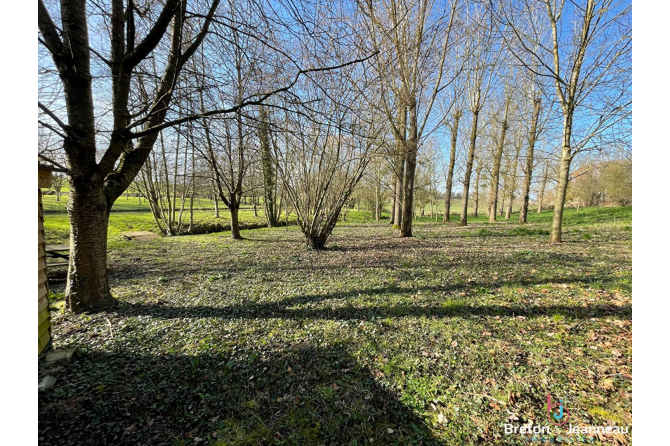 Terrain de loisir avec un étang à St Germain de Coulamer 53