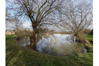 Terrain avec plan d'eau à Saint Léger