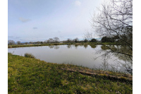 Terrain avec plan d'eau à Saint Léger