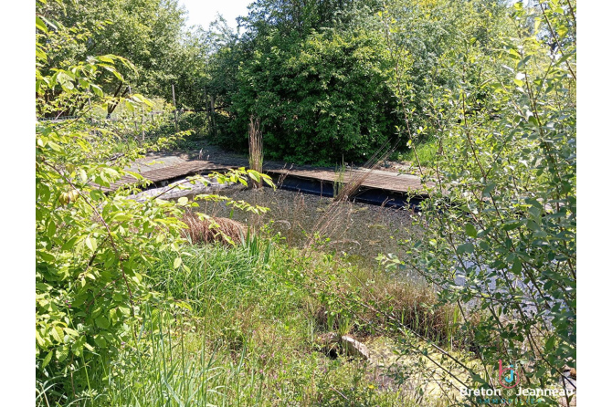 Maison sur près de 2 ha secteur Mayenne