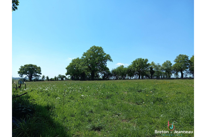 Maison sur près de 2 ha secteur Mayenne