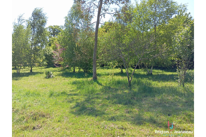 Maison sur près de 2 ha secteur Mayenne