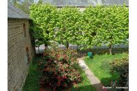 Maison à Saint-Berthevin-la-Tannière