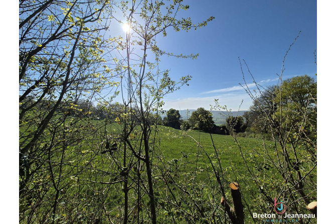 Maison de campagne secteur Evron