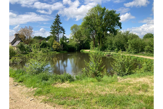 Propriété avec plan d'eau proche de Villaines la Juhel