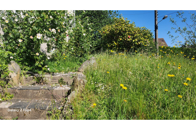 Maison Le Gesnest St Isle