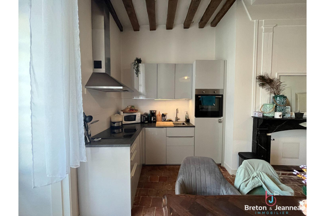 Appartement T3 de Standing - LAVAL - Centre ville CATHEDRALE