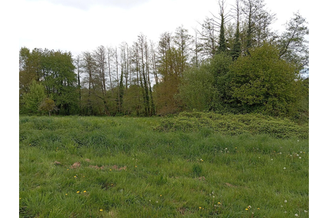 Propriété sur 5 hectares secteur Mayenne