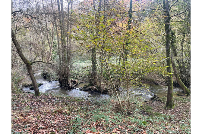 Maison à Pontmain au bord d'une rivière