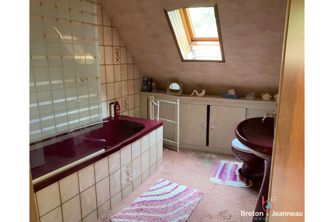 Propriété de charme sur 4 ha avec plan d'eau secteur Mayenne