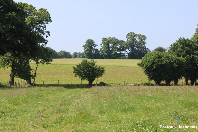 Exploitation agricole sur 43 ha secteur Montenay
