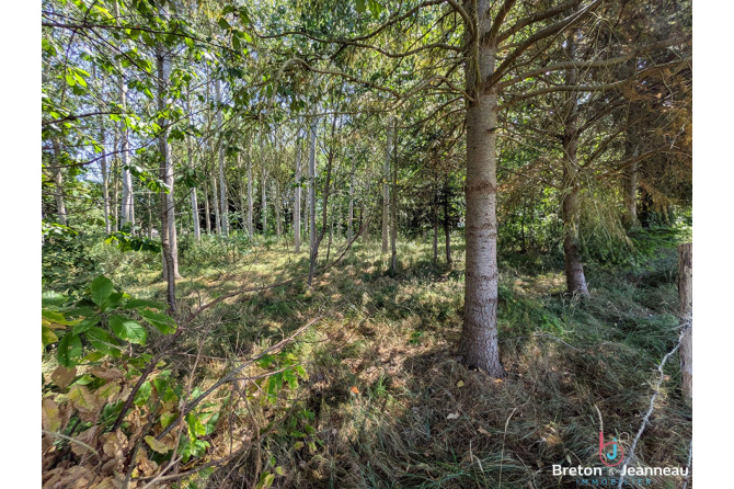 Maison en pierre avec étang sur 9 hectares à 5 min d'Évron