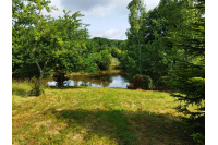 Longère sur 2 ha 34 avec Plan d'eau proche Sillé le Guillaume