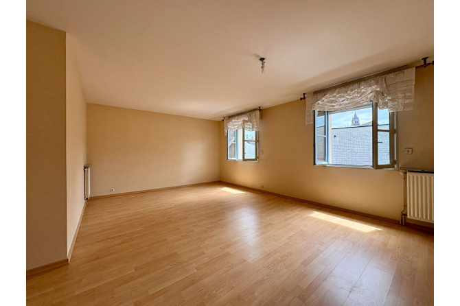 Appartement T4 Résidence Standing hyper centre de Laval