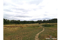 Fermette à rénover sur près de 10ha