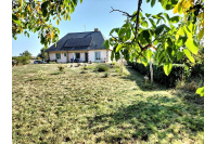 Maison sur près d'un hectare secteur Meslay-Du-Maine