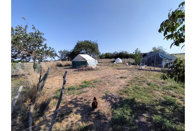 Maison sur près d'un hectare secteur Meslay-Du-Maine