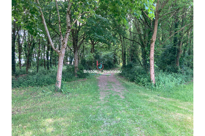 Propriété d'exception avec forêt, plan d'eau et 3 logements ? Courcité