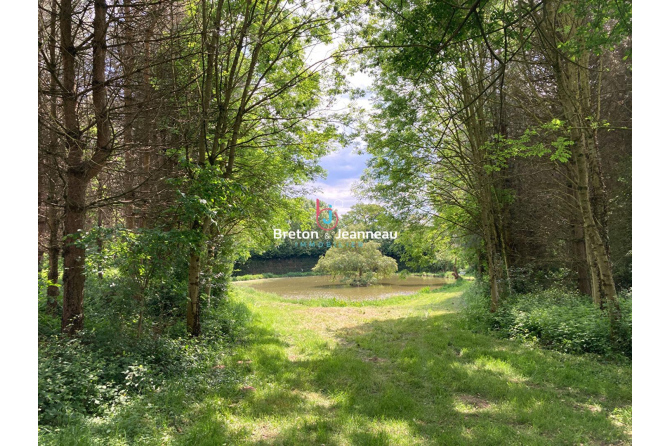 Propriété d'exception avec forêt, plan d'eau et 3 logements ? Courcité
