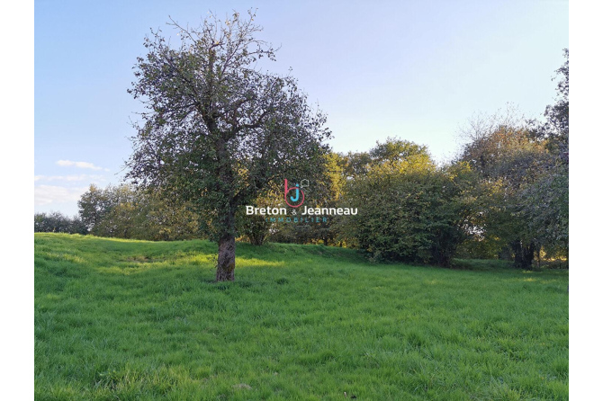 Maison avec annexe sur 2.5ha à Jublains