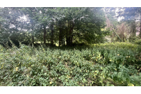 Terrain de loisirs à Saint Jean Sur Mayenne