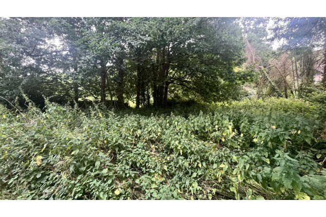 Terrain de loisirs à Saint Jean Sur Mayenne