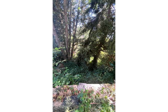 Terrain de loisirs à Saint Jean Sur Mayenne