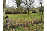Terrain de loisirs à Vimartin sur Orthe