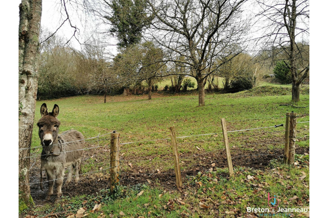 Terrain de loisirs à Vimartin sur Orthe