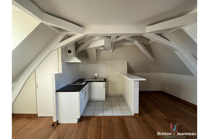 Studio near Laval Cathedral