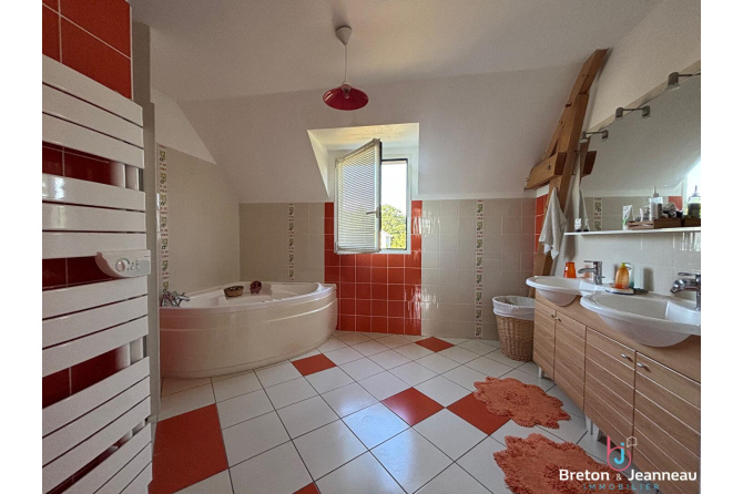 Maison Chateau Gontier Sur Mayenne 6 pièce(s) 200 m2