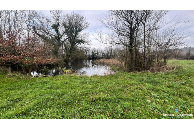 Maison Louvigne 7 pièce(s) 176.50 m2