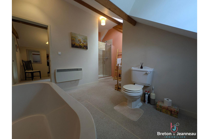 Maison d'exception avec gîte et piscine  secteur Evron