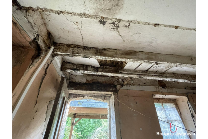 Maison à Sillé le Guillaume